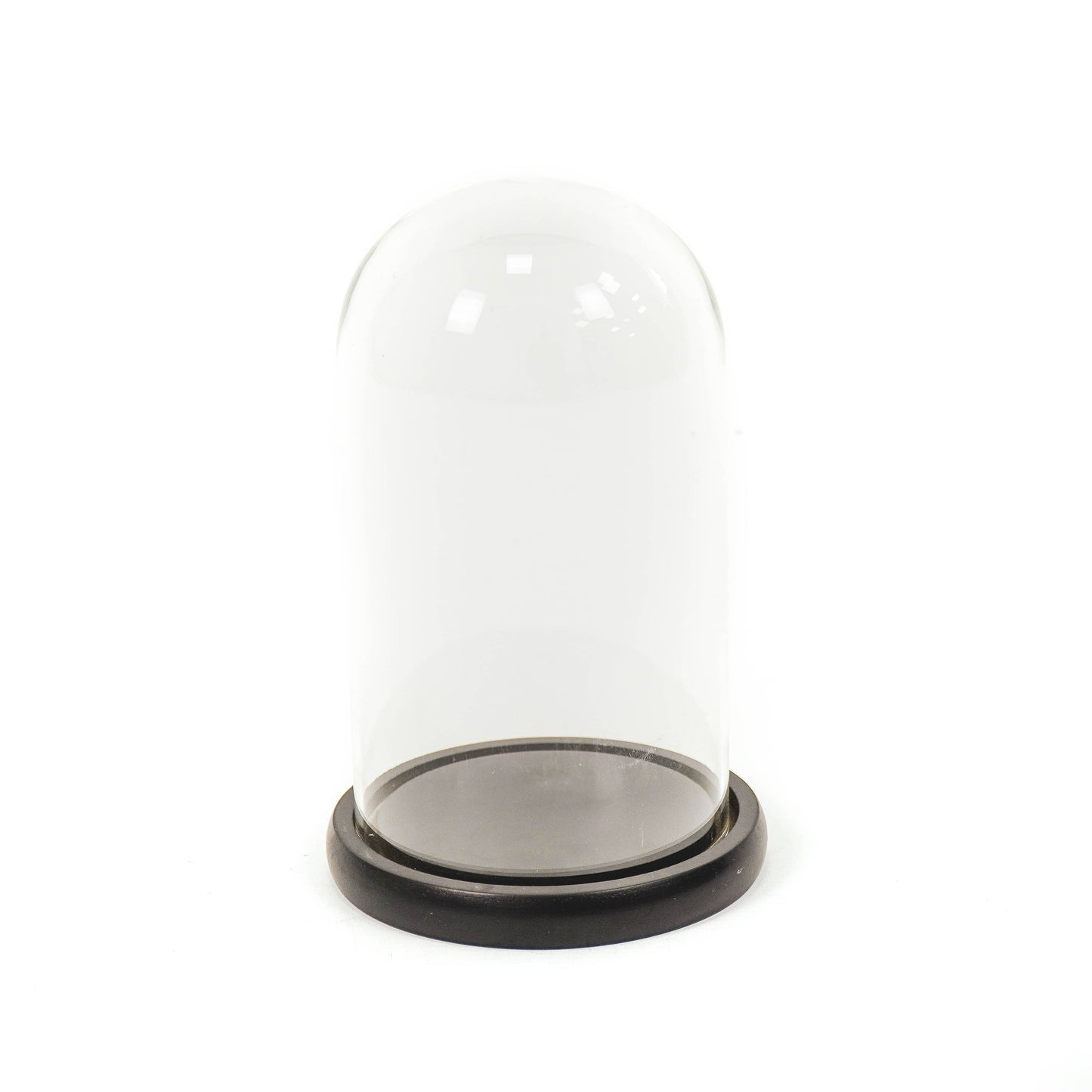 Glass Bell Jar - 2 Sizes